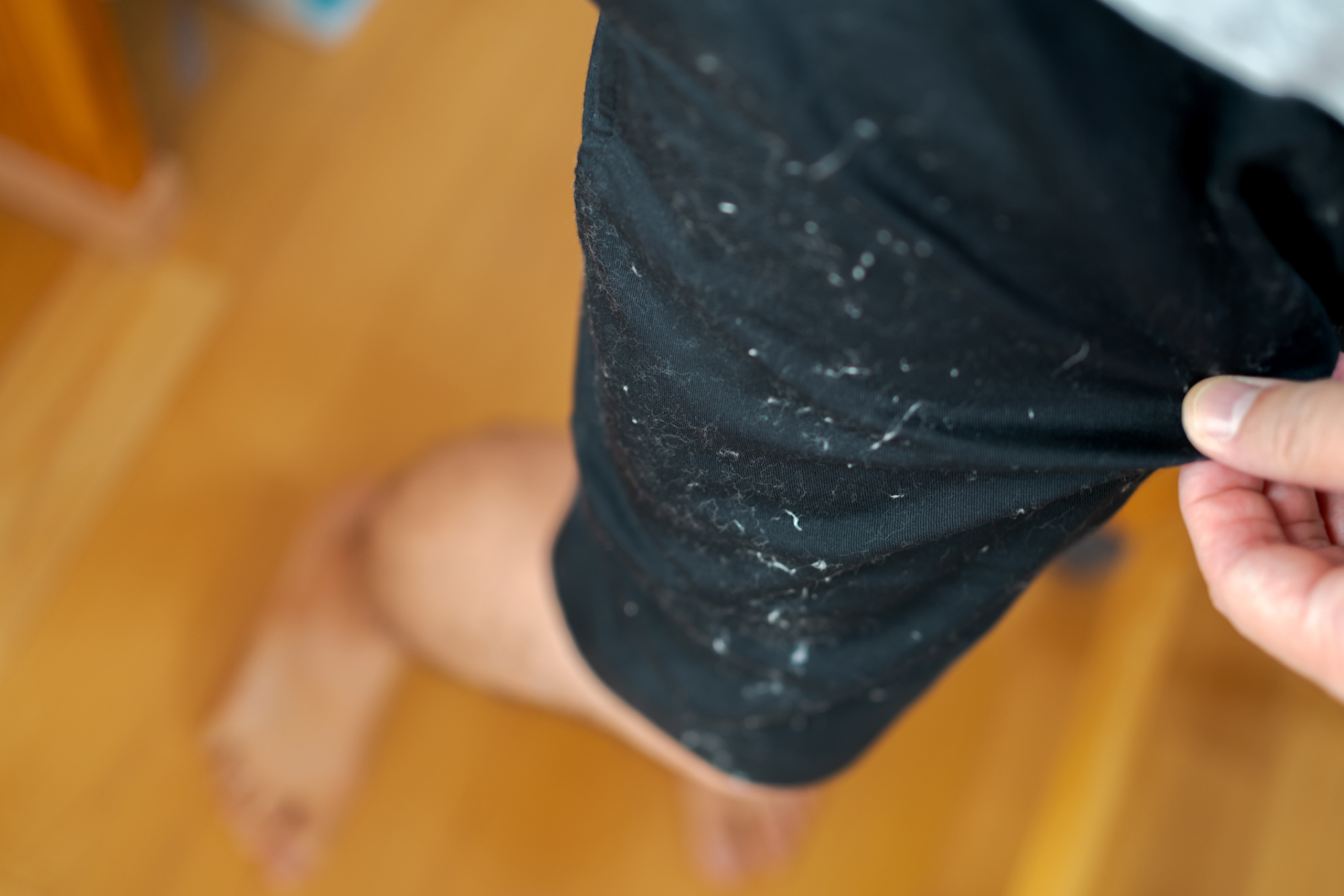 黒いパンツについたティッシュの屑