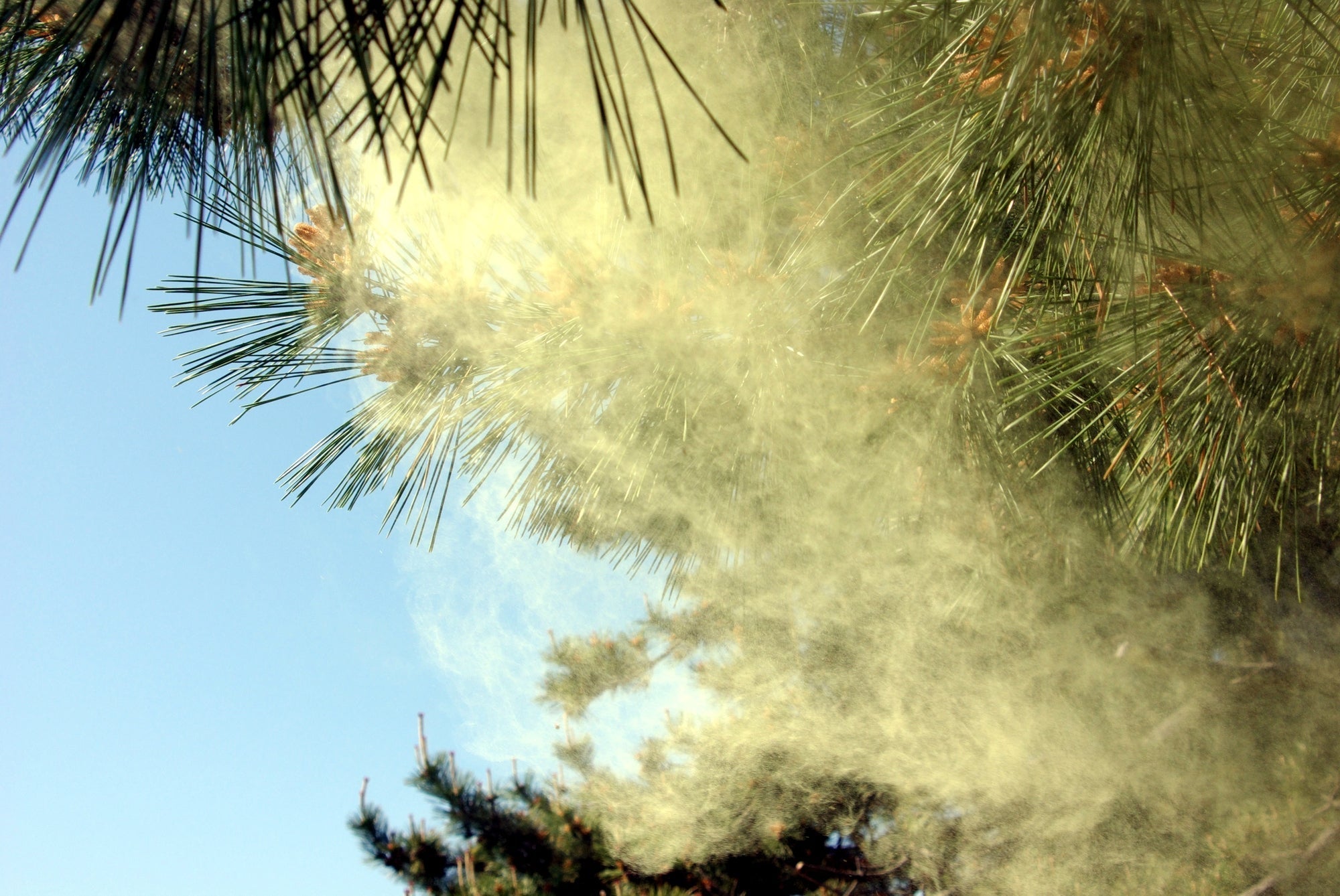 花粉対策に衣類乾燥機は効果的？選び方と電気代・時期別活用法を解説